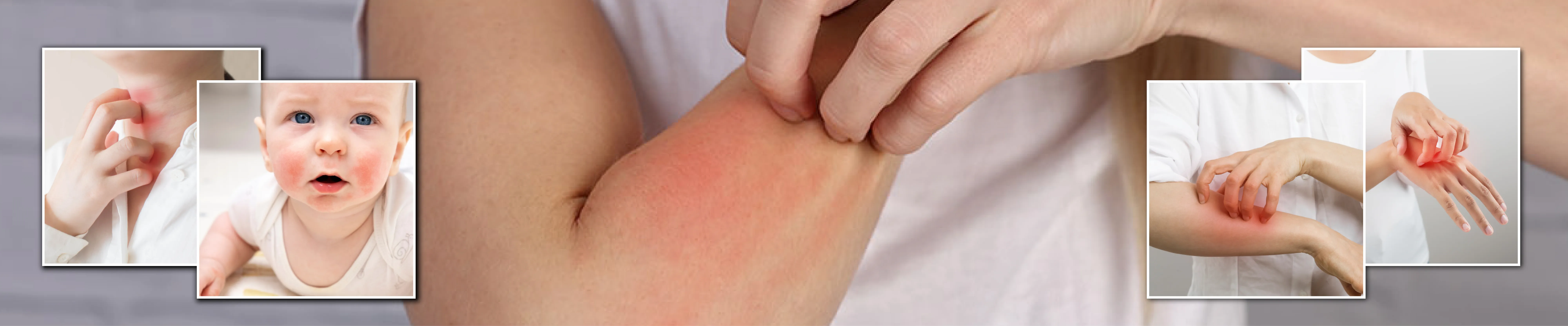 carpet cleaning in new york, carpet cleaning new york, carpet cleaners in new york, carpet cleaners in ny, commercial carpet cleaning, commercial carpet cleaning in ny, ny rug cleaners, rug cleaning services in new york, same day carpet cleaning, same day rug cleaning in ny