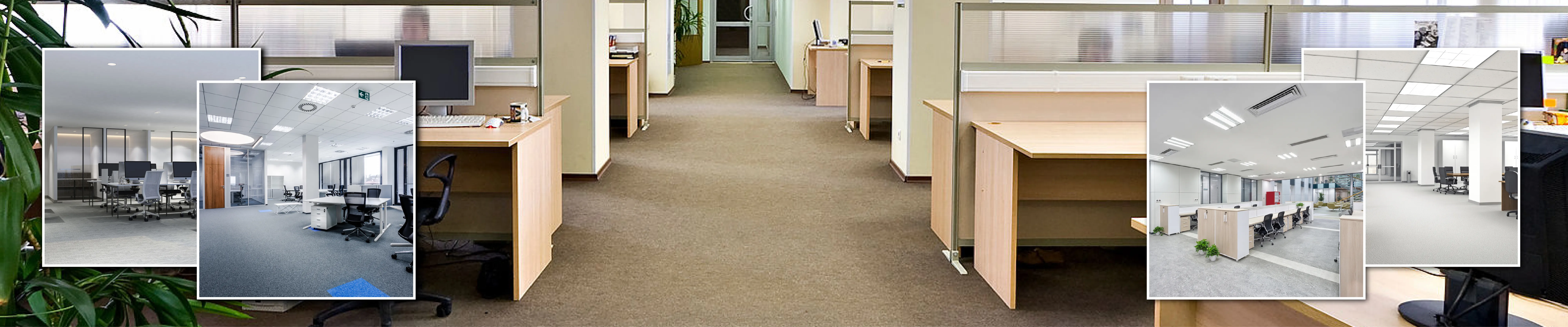 carpet cleaning in new york, carpet cleaning new york, carpet cleaners in new york, carpet cleaners in ny, commercial carpet cleaning, commercial carpet cleaning in ny, ny rug cleaners, rug cleaning services in new york, same day carpet cleaning, same day rug cleaning in ny