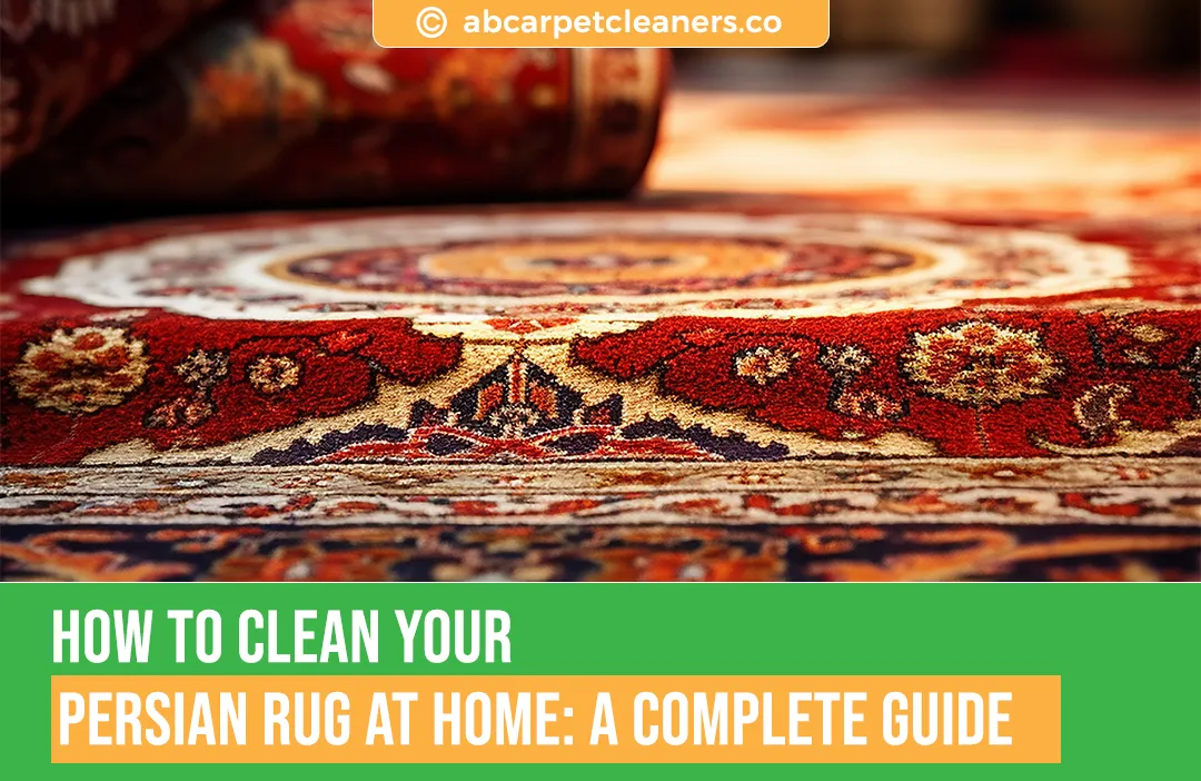 carpet cleaning in new york, carpet cleaning new york, carpet cleaners in new york, carpet cleaners in ny, commercial carpet cleaning, commercial carpet cleaning in ny, ny rug cleaners, rug cleaning services in new york, same day carpet cleaning, same day rug cleaning in ny