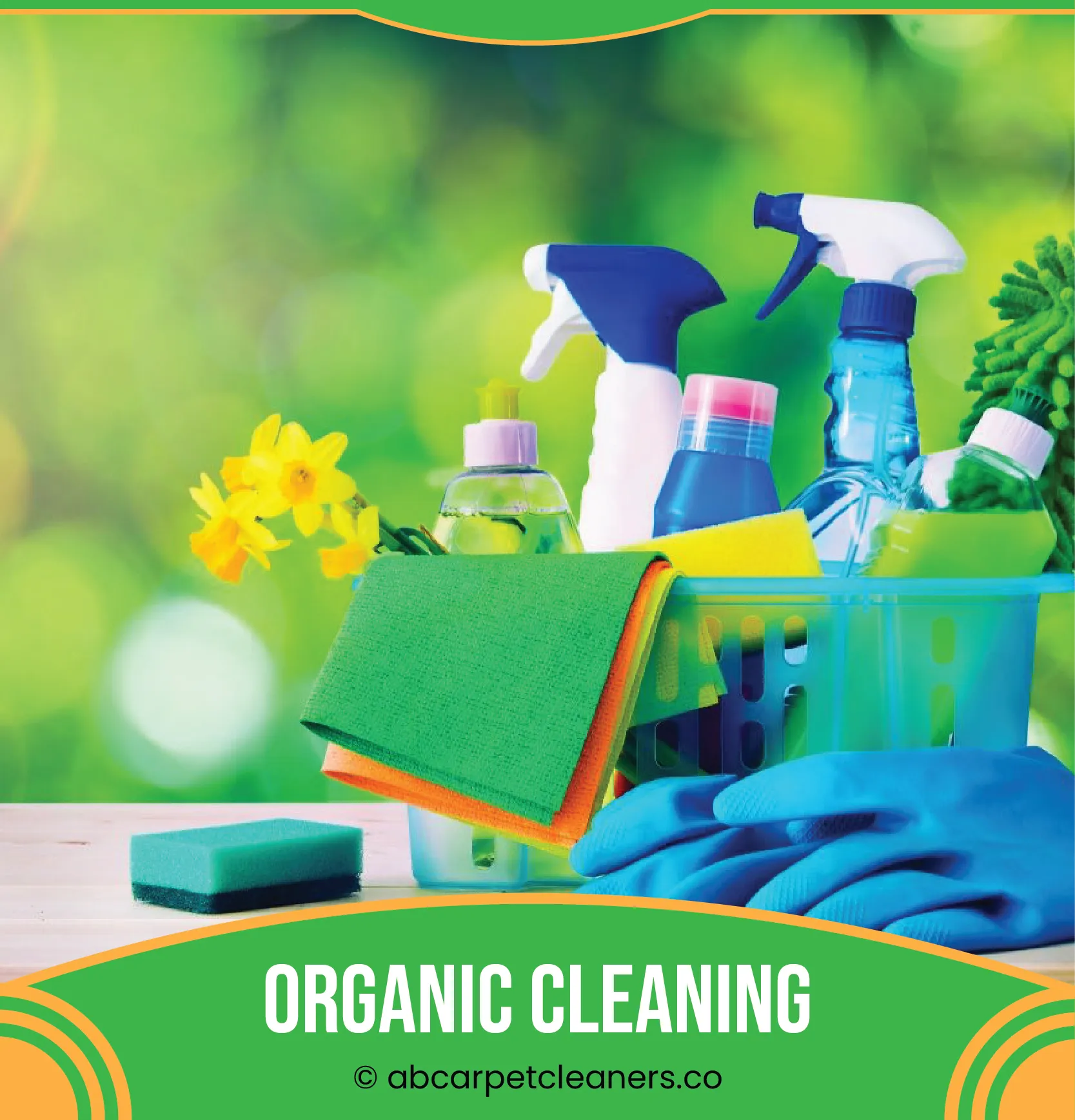 carpet cleaning in new york, carpet cleaning new york, carpet cleaners in new york, carpet cleaners in ny, commercial carpet cleaning, commercial carpet cleaning in ny, ny rug cleaners, rug cleaning services in new york, same day carpet cleaning, same day rug cleaning in ny